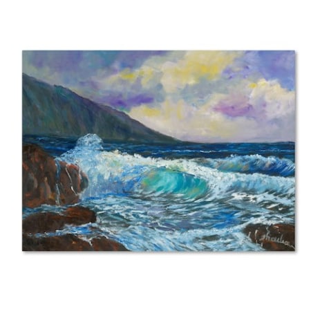 Manor Shadian 'Maui's Enchanting Seas' Canvas Art,18x24